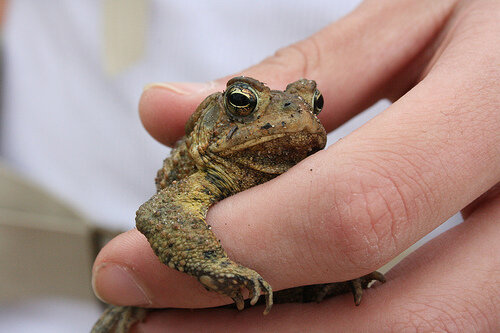 Фото с сайта: Kolobok.ua