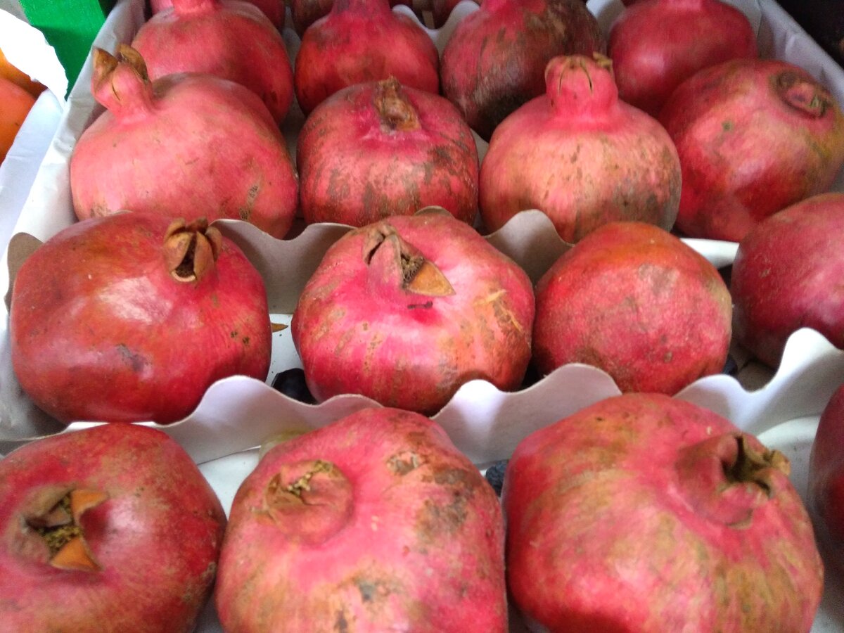 Гранаты. Фото Самогон Саныча.