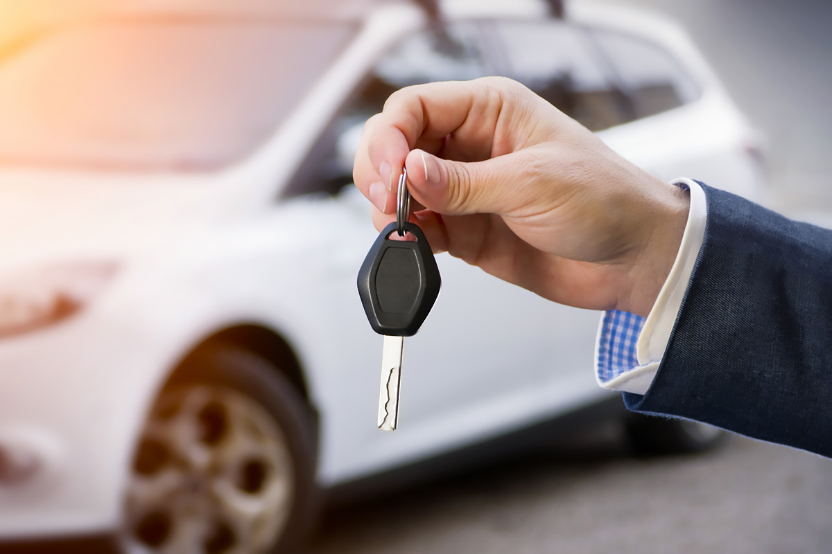 Изображение взято из открытых источников.