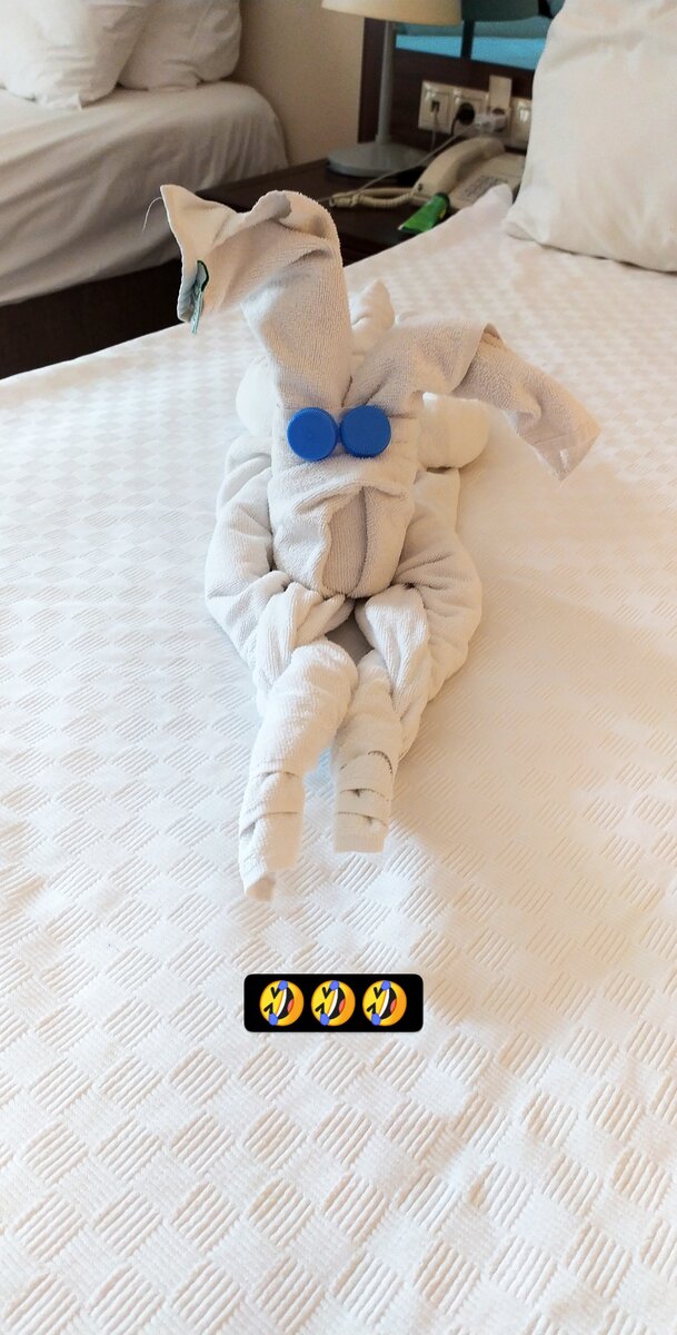 Гениальная композиция турецких отельеров. Фото автора из последней поездки по Турции в октябре 2020 г. 