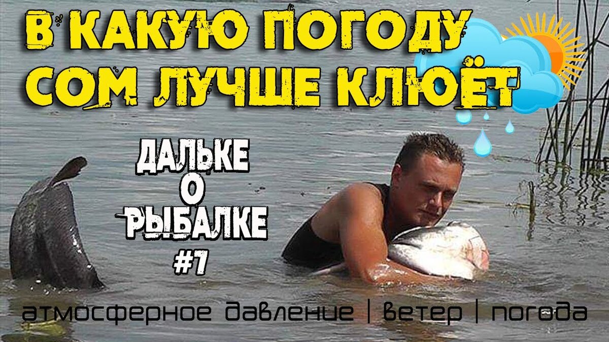 В какую погоду сом клюёт
