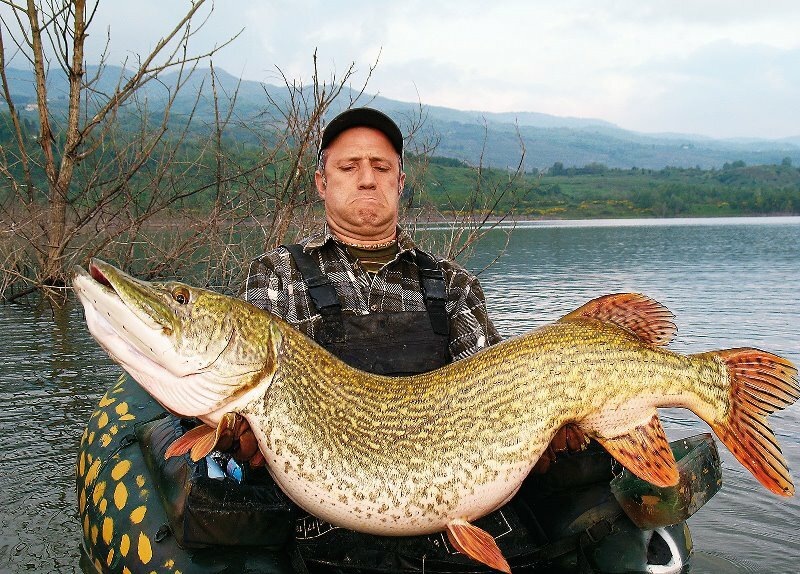 Фото взято из интернета.