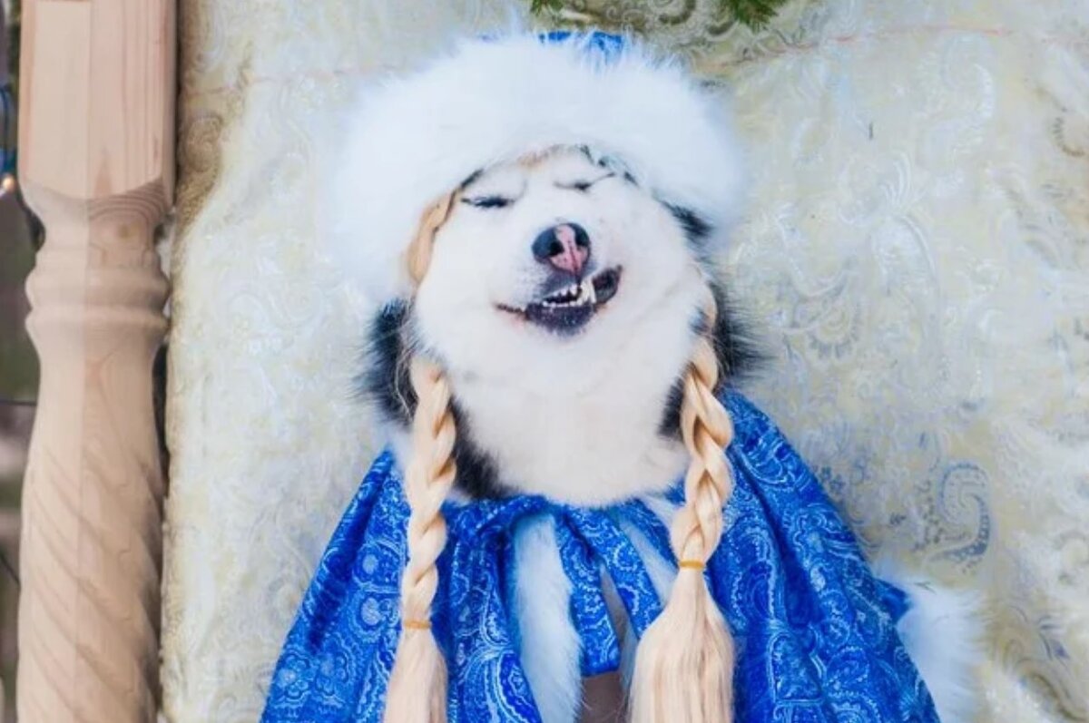 фото-привет от Бабульки)))