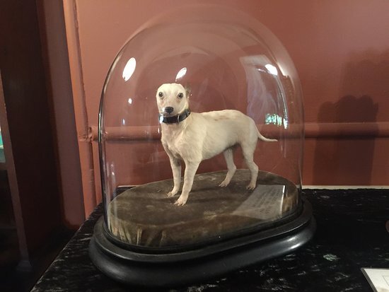 Странный аксессуар. Фото: свободный источник на images.google.com