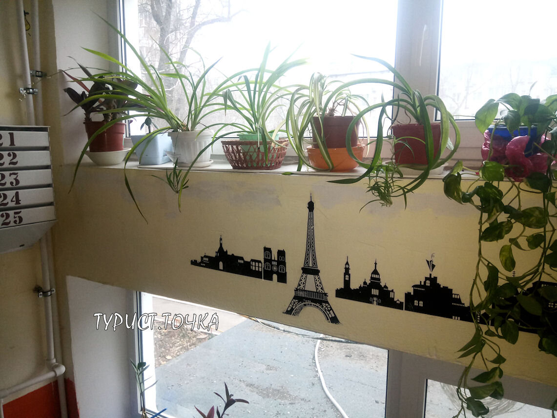 Цветы на подоконниках и картинки