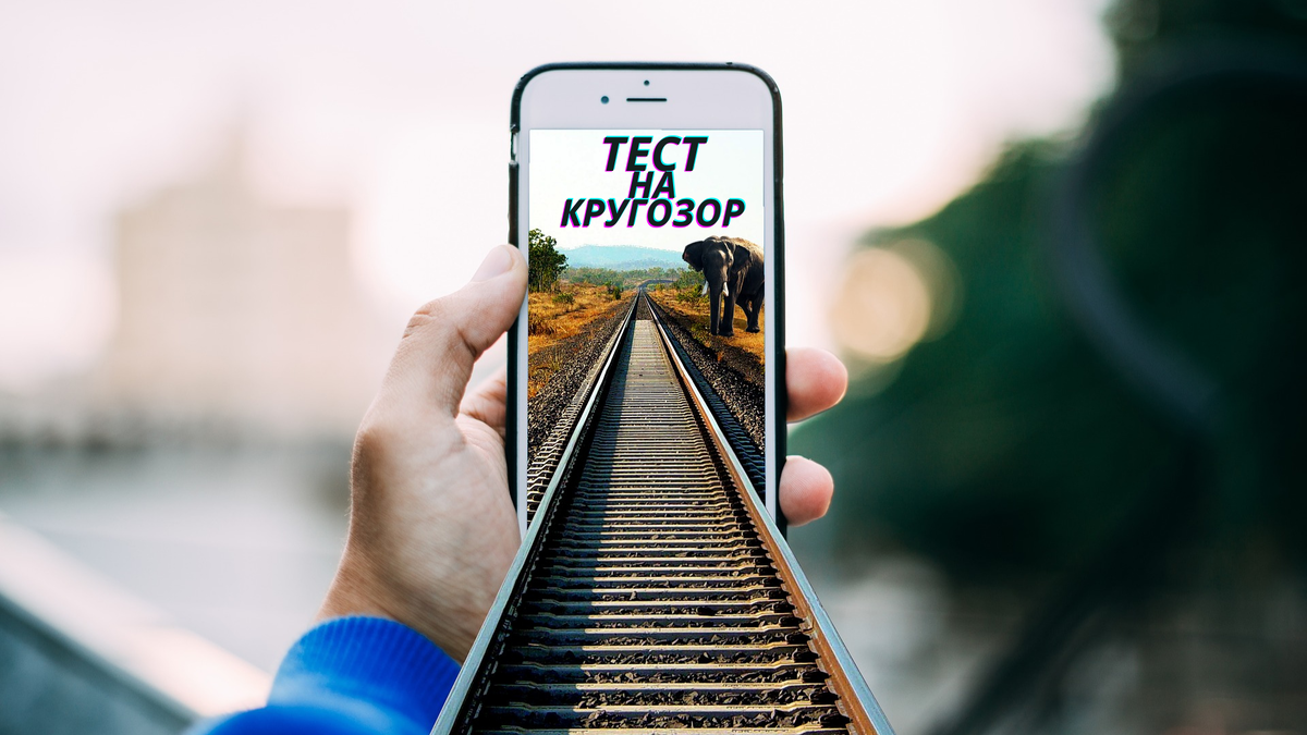 фото:pixabay.com