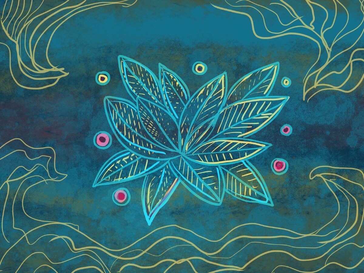 В этой вселенной существует много удивительных вещей, которые мы себе даже не можем представить