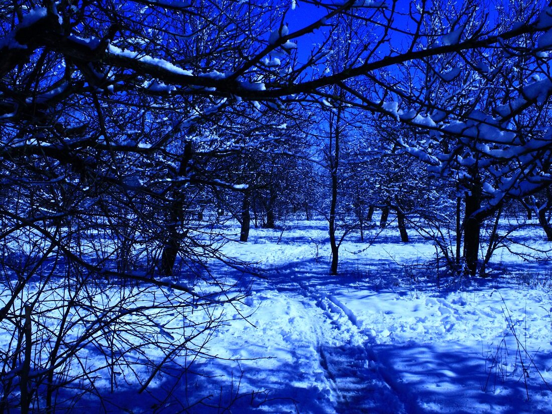 Мартин Селлаит фотограф, 2020