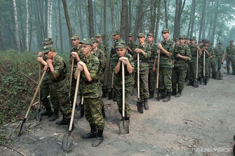 Компетенции стройбата сегодня