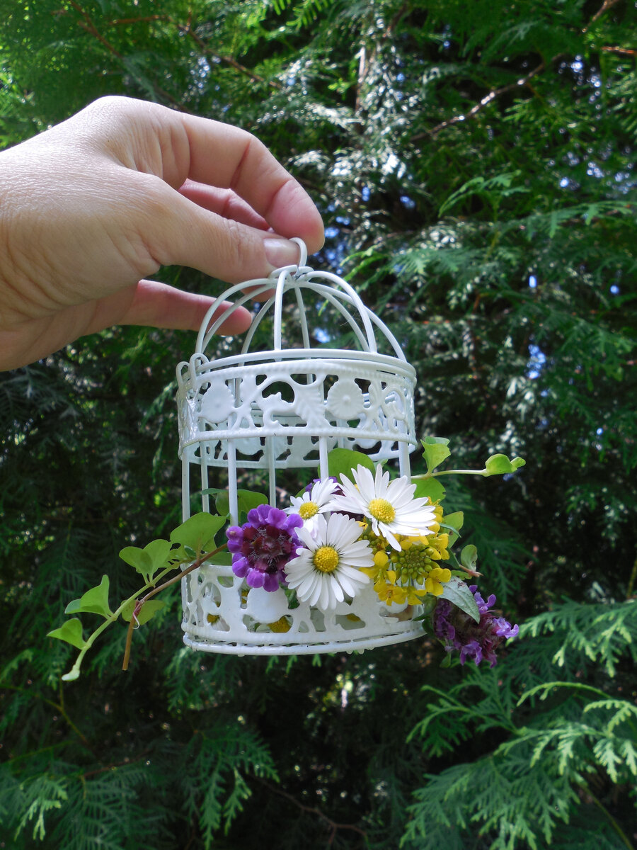 Моя первая декоративная клетка. Так понравилась, что даже свозила на дачу, чтобы сделать фотосессию!