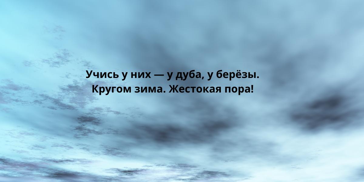 А.А.Фет. Учись у них- у дуба, у березы...