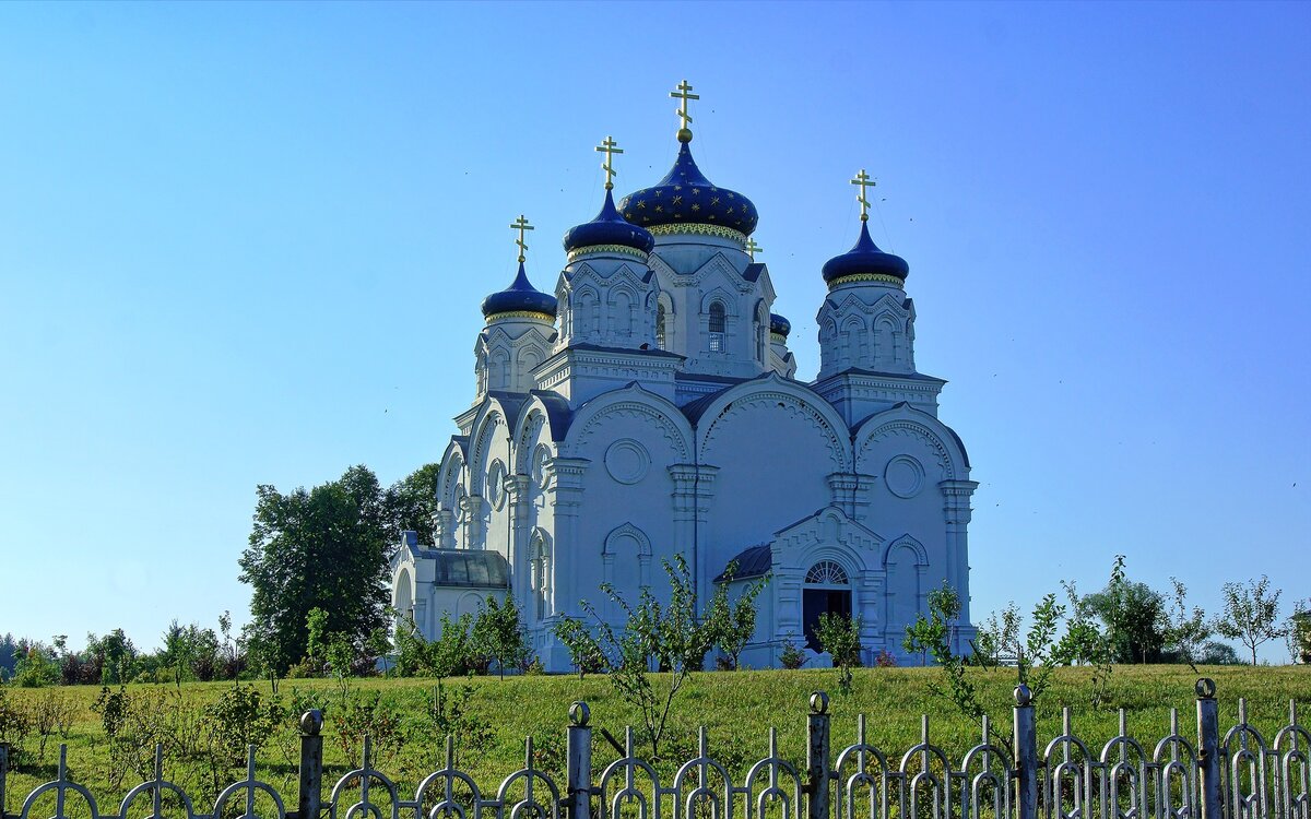 Фото Альгирдас Жаляускас с сайта Pixabay