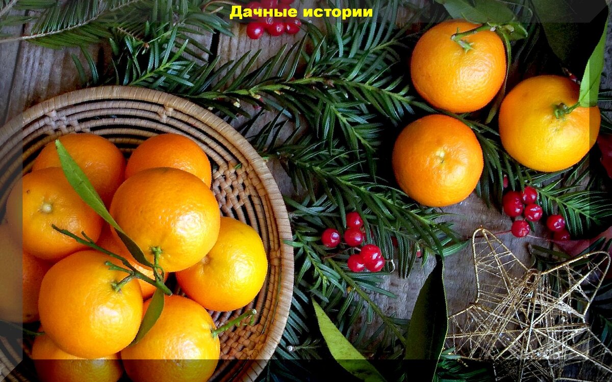 https://vk.com/photo-159774511_457244917