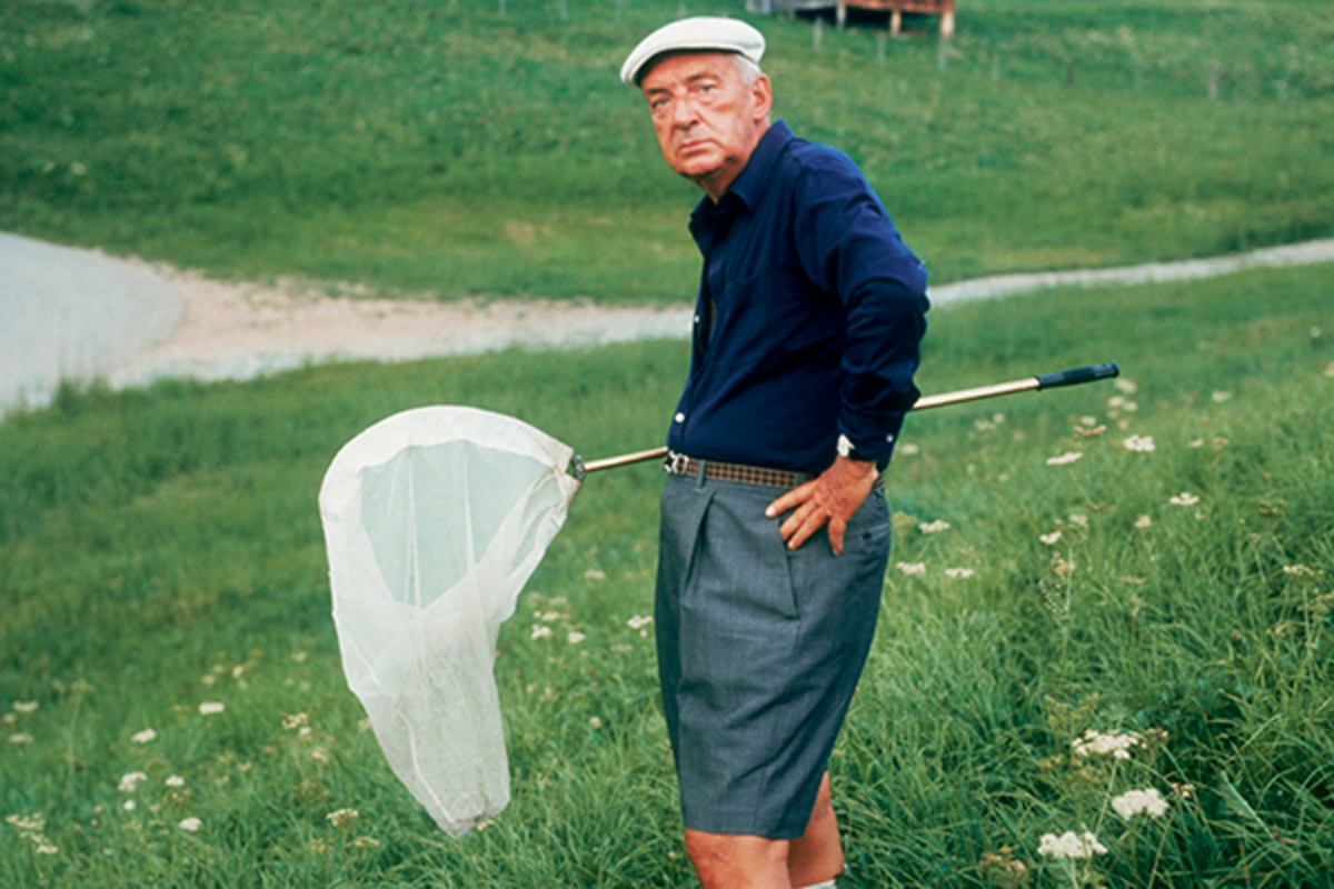 Набоков был страстным любителем бабочек