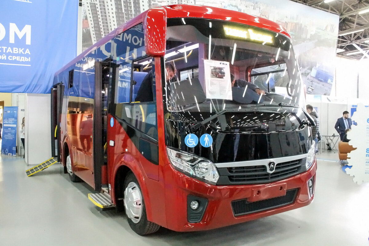 Внешний вид. Автор фото: Олег Довгалюк. Источник - https://fotobus.msk.ru/