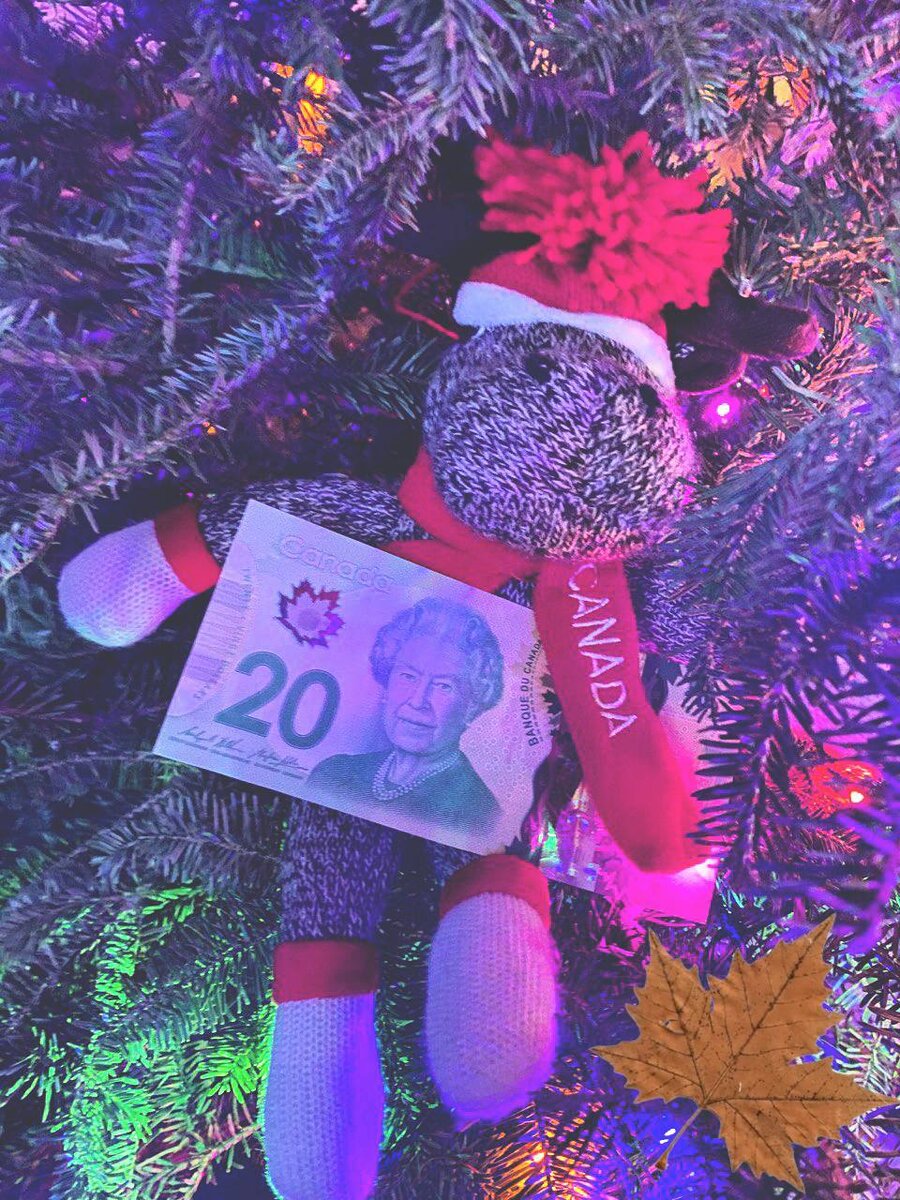 Одна интересная деталь: канадские купюры можно стирать, так как они пластиковые 