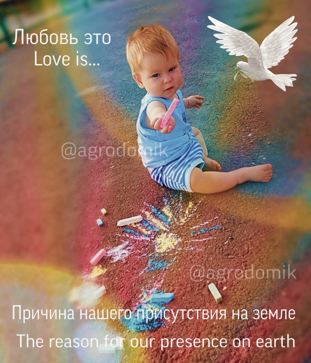 @agrodomik 