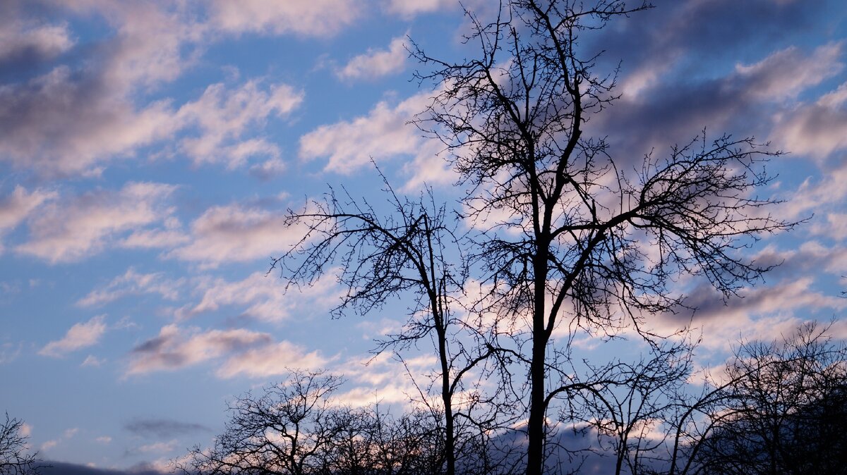Небо на закате, фото автора