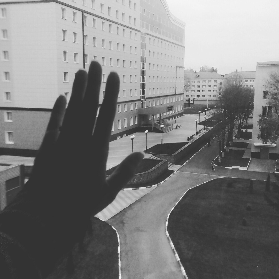 Прощай студенческая жизнь!