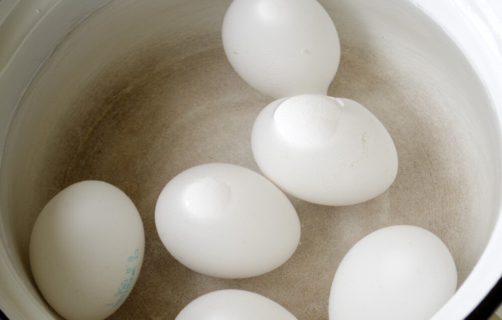 яйцо в крутую. птенец вылупившийся из яйца. замороженные яйца. яйцо куриное вареное. вдруг яйцо.