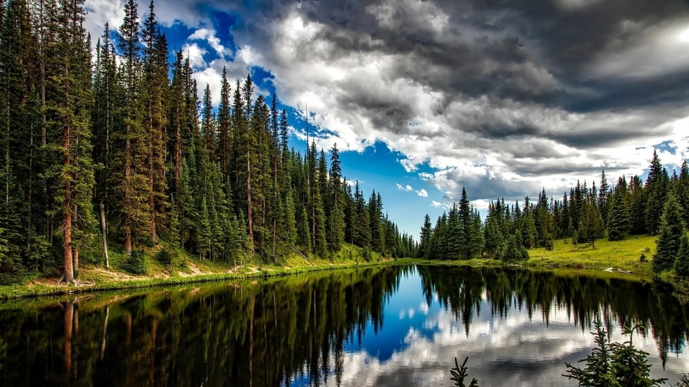 Британец рассказал о «бесконечном» путешествии по БАМу | Путешествия ...