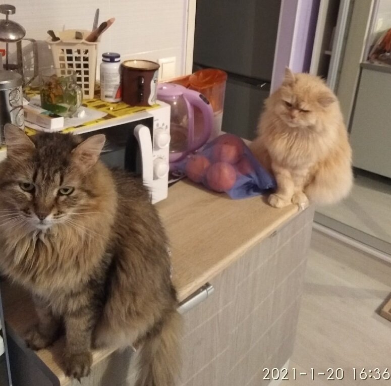 Кама тут с таким выражением моськи сидит...)))