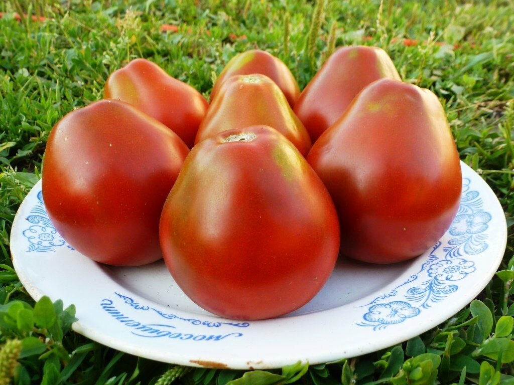 https://img11.postila.ru