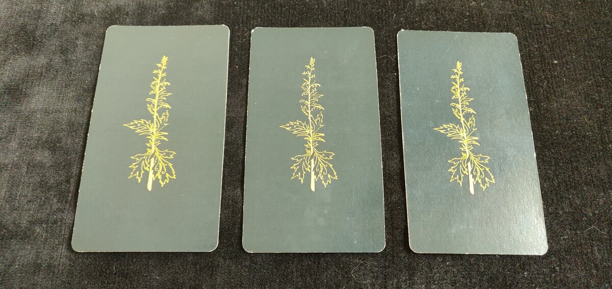 выбирайте карту    (чтобы увеличить, нажмите на фото)