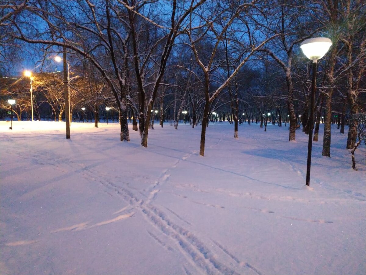Сквер в снежном убранстве
