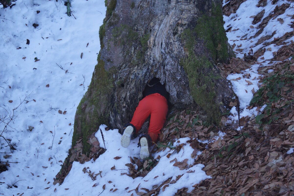 Настоящий спелеолог ищет входы в пещеру в любой дыре