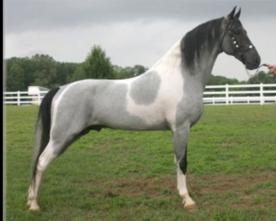 Фото из открытх источников