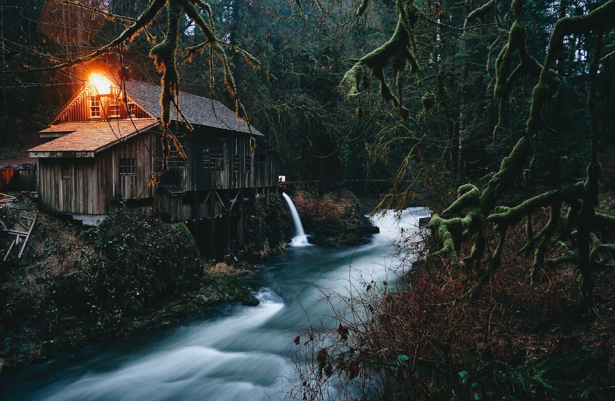 Небольшой домик в лесу около ручья — мечта каждого интроверта