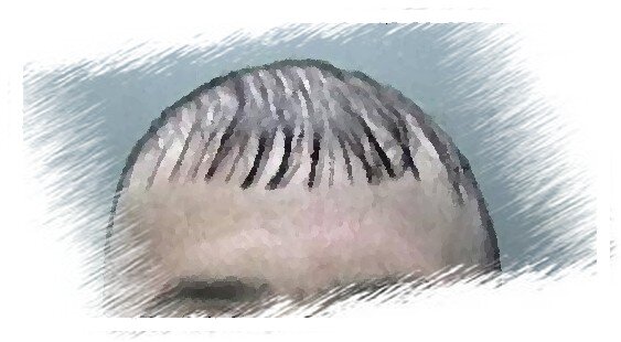 Я после Барбер Шопа