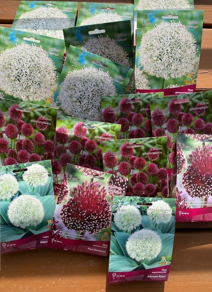 Это та самая сториз с прошлого года, я её сохранила себе - сделала скриншот. Впечатляюще, правда? Я-то думала, что луки это простенькие фиолетовые кругляшки, а тут такая красота😍 