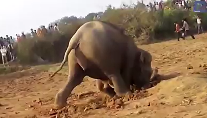 Не смогла остаться равнодушной к этой истории и, хочу поделиться ей с вами.-5