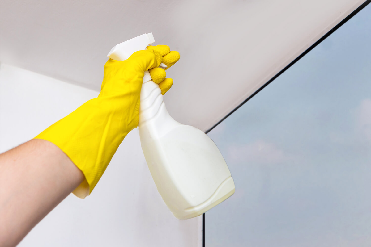 Обработка чернового потолка средством от плесени и грибка