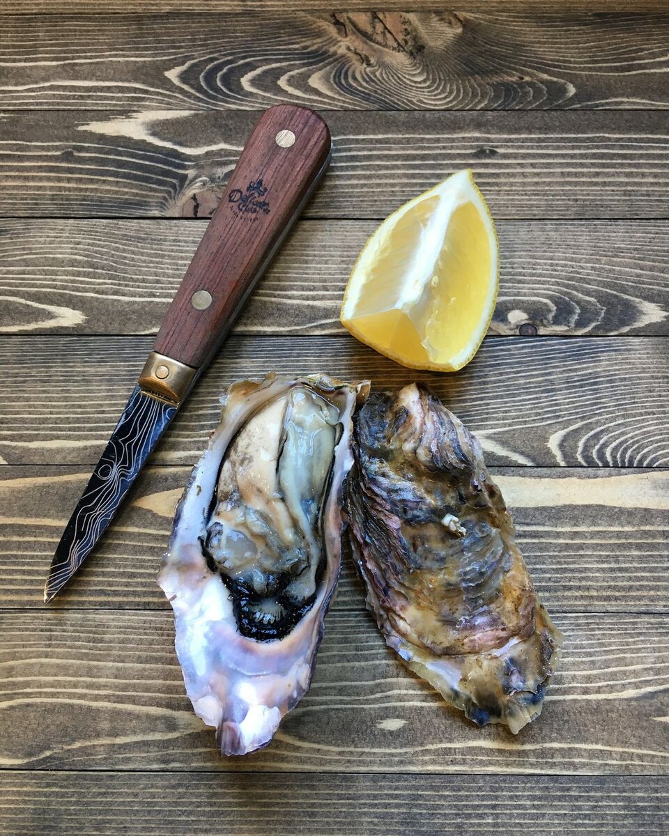 Японская устрица Сакура