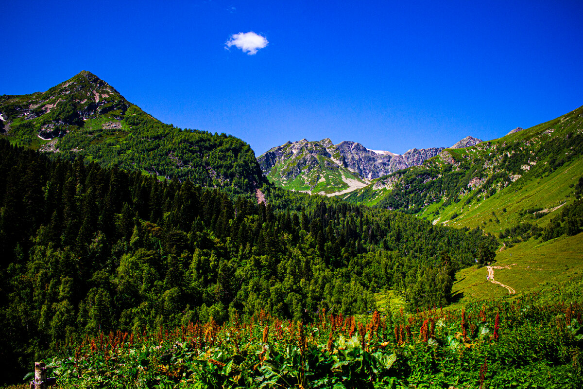 Наше место высадки