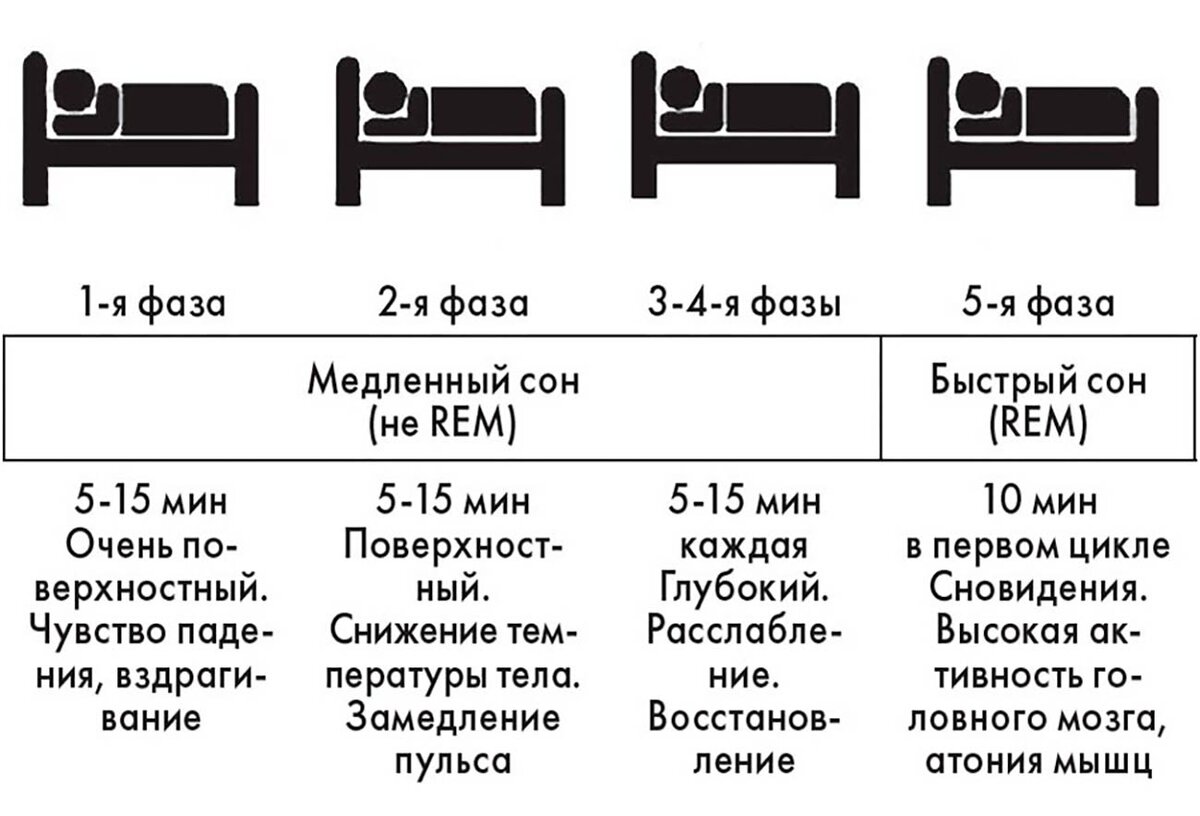 Сколько длится 1 цикл сна. Фазы быстрого и медленного сна таблица. Длительность фаз сна. Основные фазы сна. Фаза медленного и быстрого сна их характеристика.