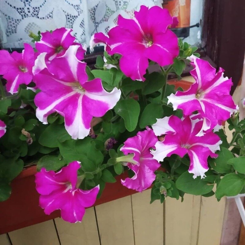 Источник фото: https://www.instagram.com/p/CSR2ssUKD5H/