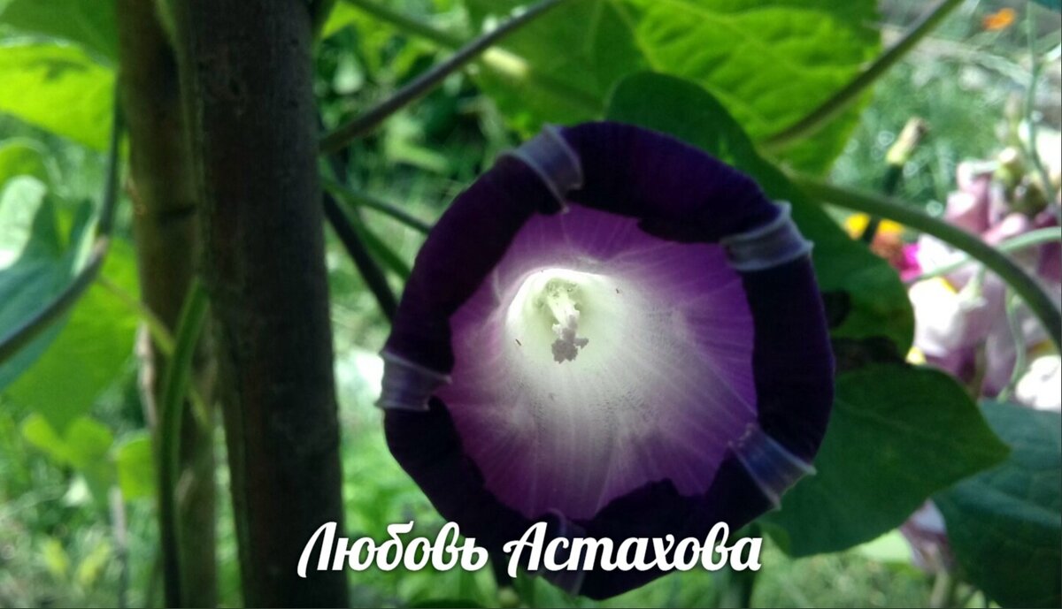 Стать светом для других легко. Нужно просто рассказать о том, что болит