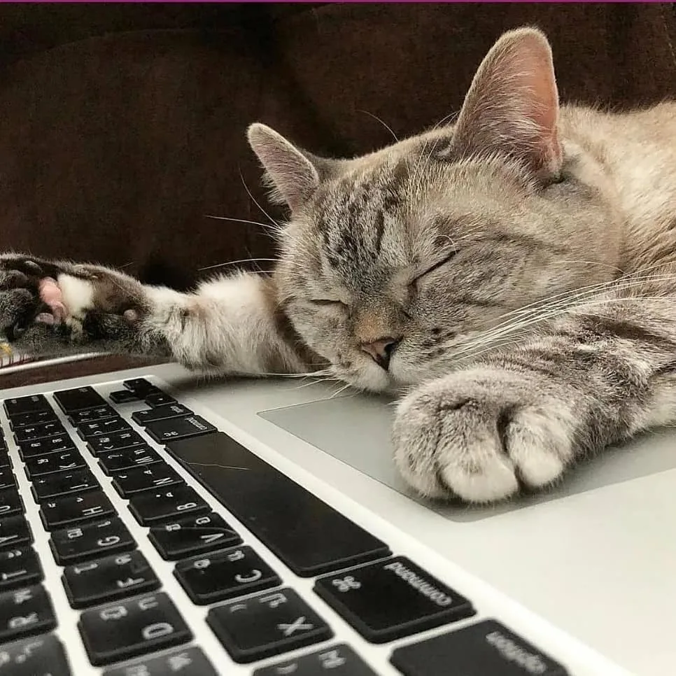 вот примерно вот так я выглядела после каждого рабочего дня