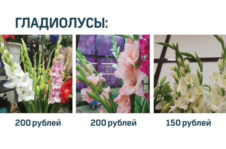 Фото: Тульская служба новостей