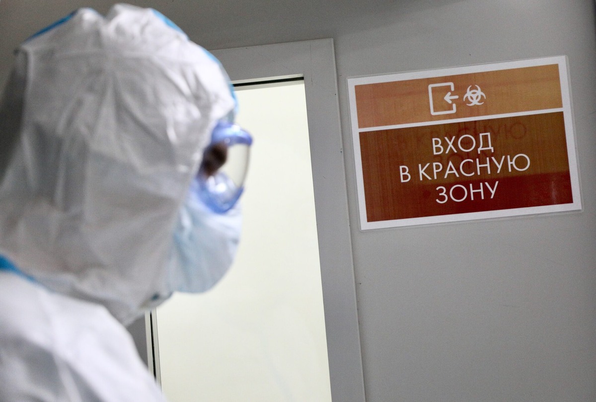 Фото: live24.ru
