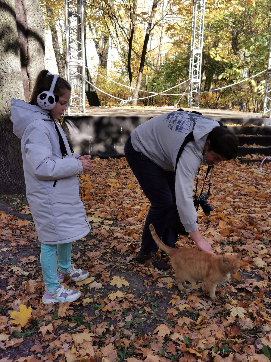 Здешние коты ласковые и добрые