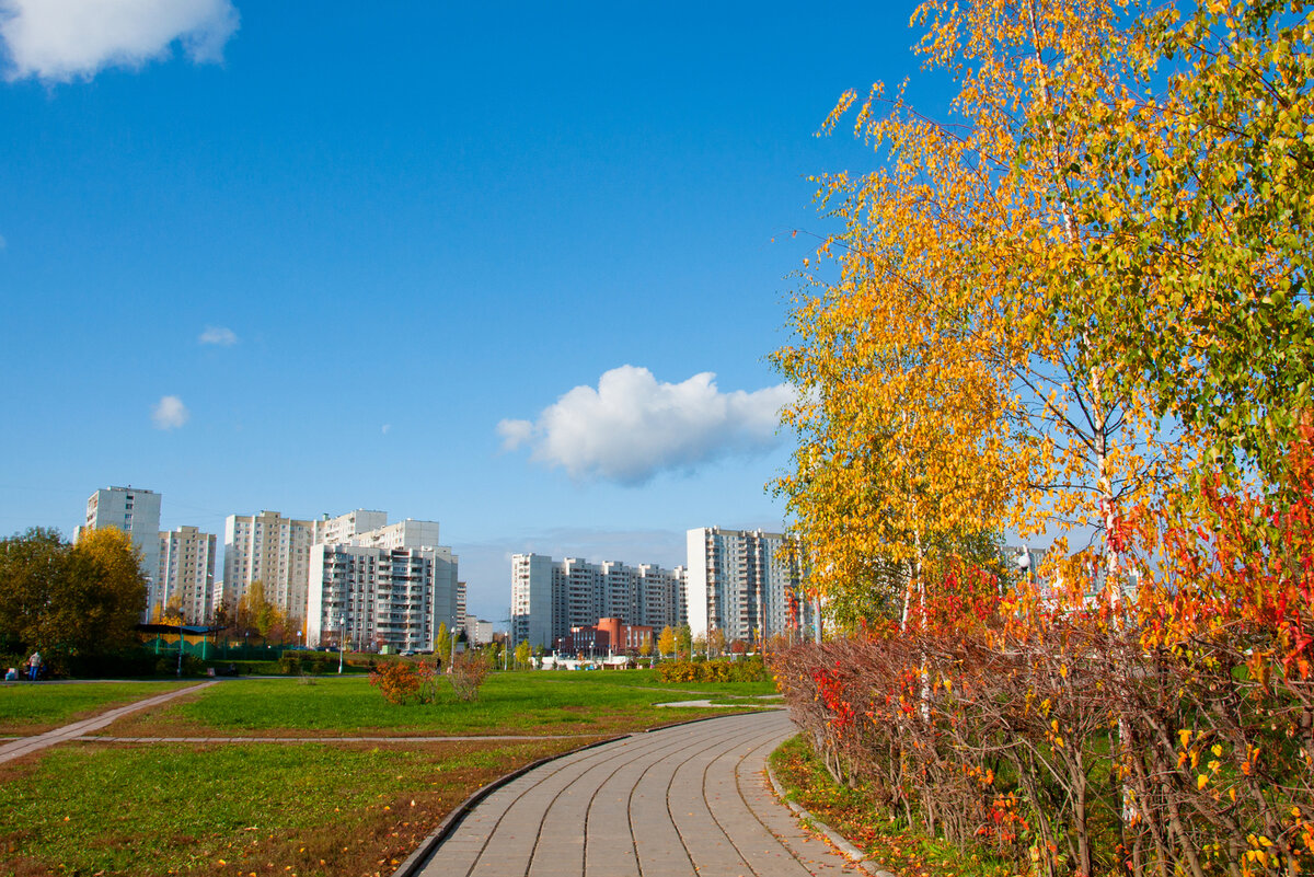 осень на улицах москвы