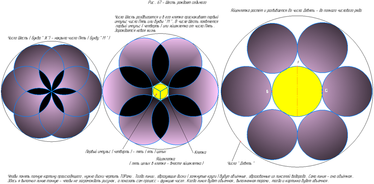 Шесть рождают седьмого.