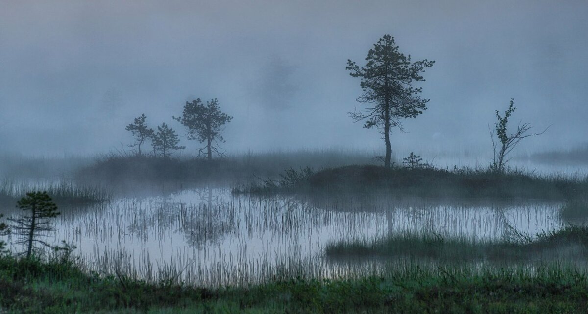 Яндекс картинки