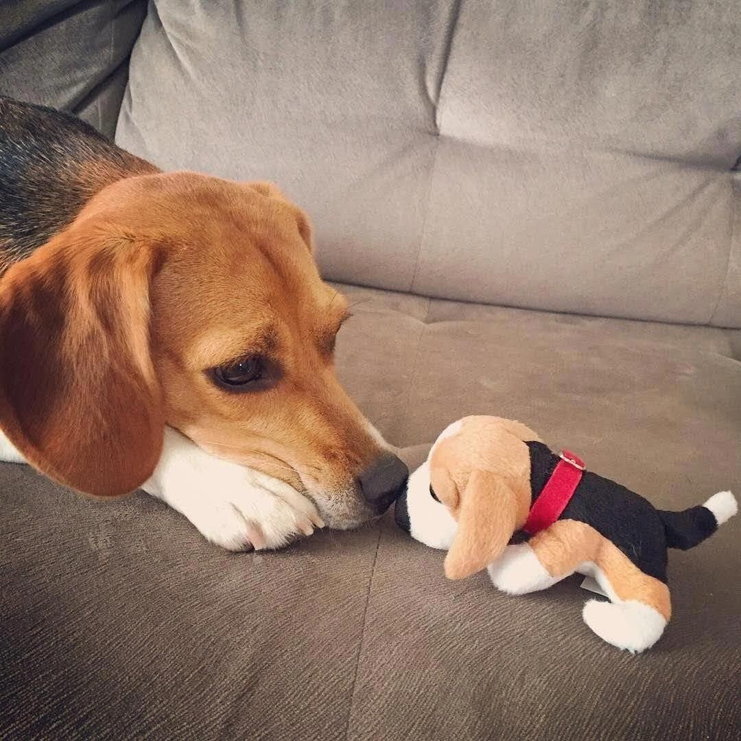 Игрушки это жизнь