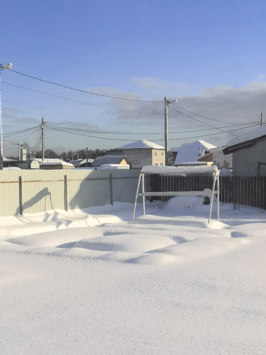 Зимний огород 